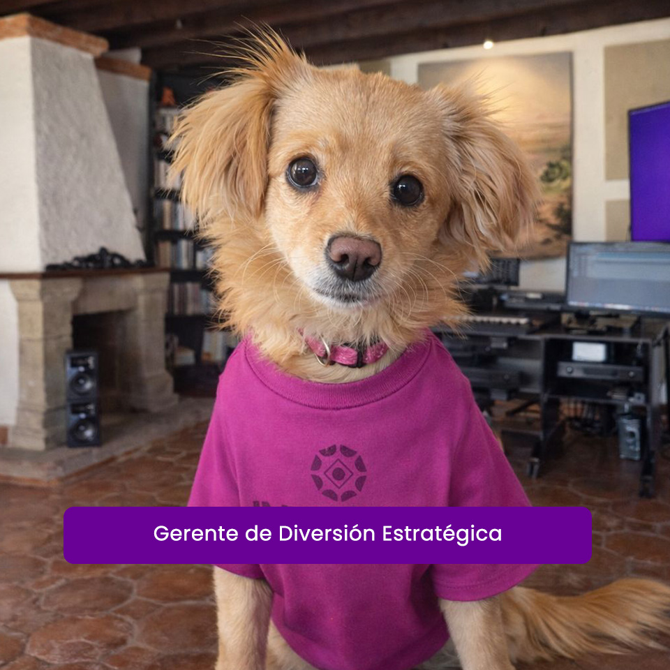 Gerente de diversión estratégica